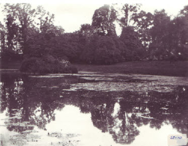The bank on the upper pond