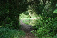 Walk around the round pond