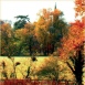 Vol26 No4 Colours of the Season by David Johnson