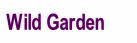 Wild Garden.