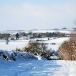 Vol32No5 Milton Snow Scene by Alan Vickers