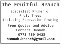 Fruitful branch pruning services