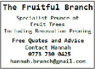 Fruitful Branch pruning services