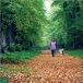 Vol28 No4 Autumn Walks by Alan Vickers