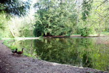 The upper pond