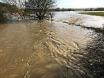 Flooding Evenlodechristrotman - 3.jpg