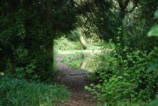 Walk around the round pond