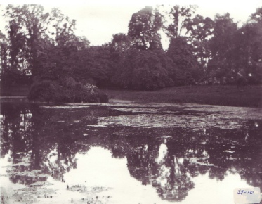 The bank on the upper pond