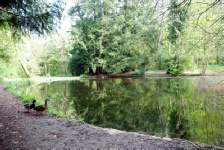 The upper pond